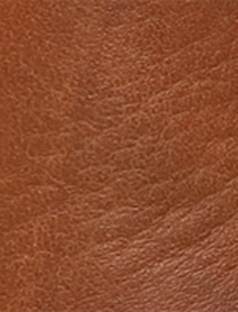 Billy Short Harness - Saddle - Swatch