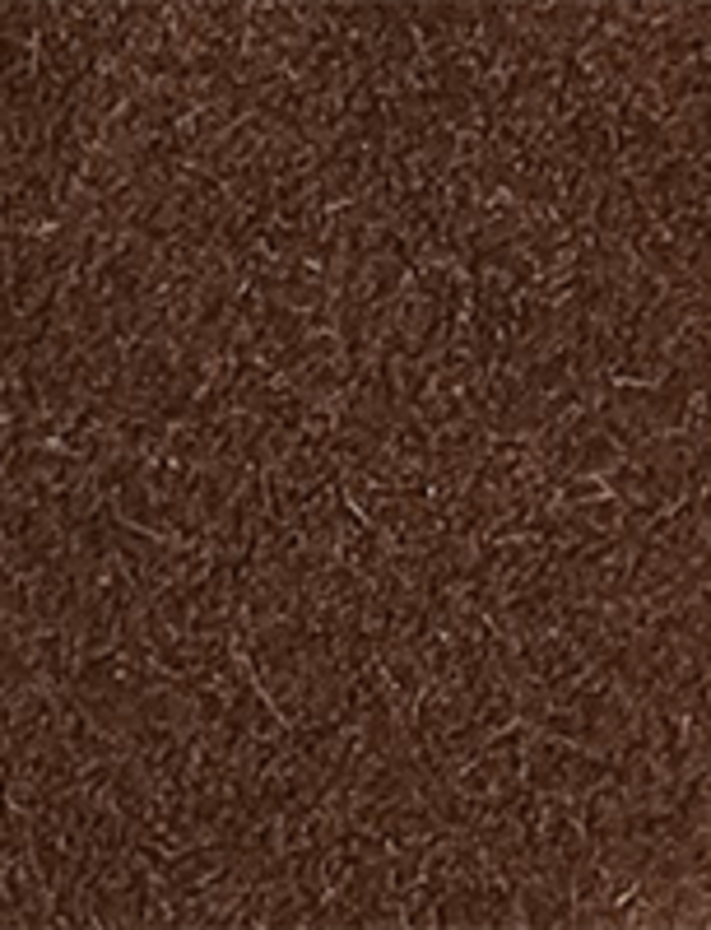 Campus 12R - Brownie - Swatch