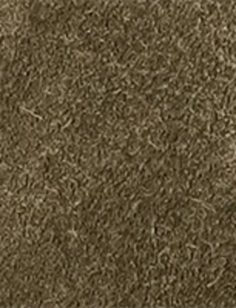 Campus 12R - Olive - Swatch