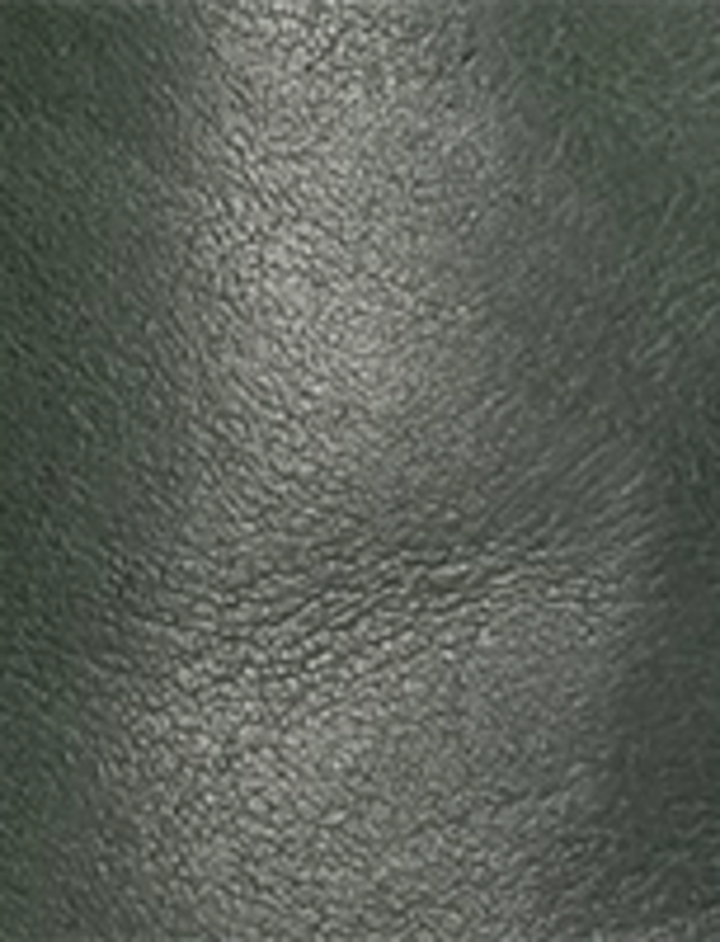 Campus 14L Wc - Forest - Swatch