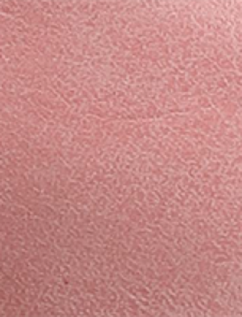 Campus 14L - Pink - Swatch