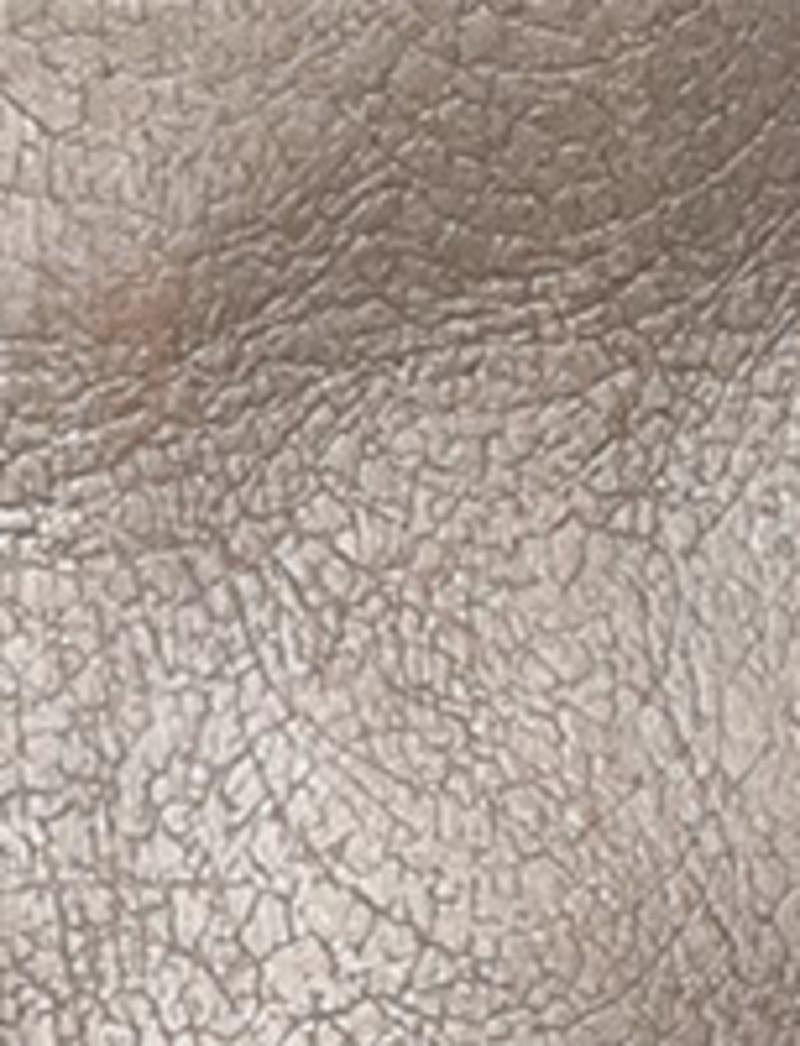 Campus 14L - Metallic Stone - Swatch
