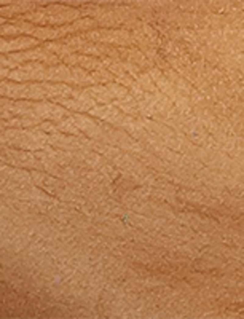Campus 14L - Light Brown - Swatch