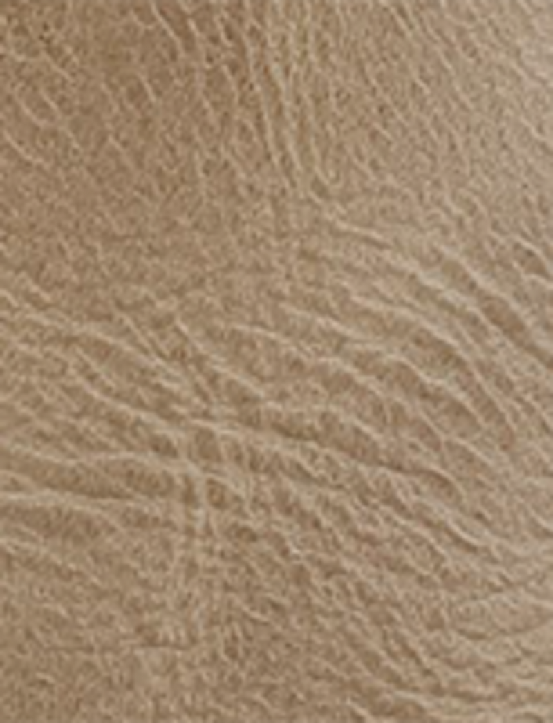 Campus 14L - Eucalyptus - Swatch