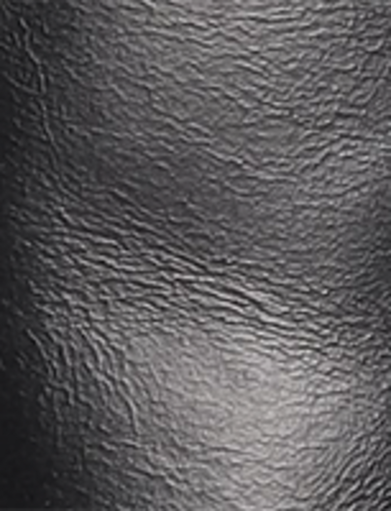 Campus Buckle - Black - Swatch