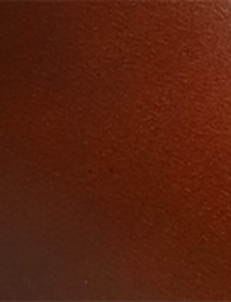 Campus Buckle - Saddle - Swatch