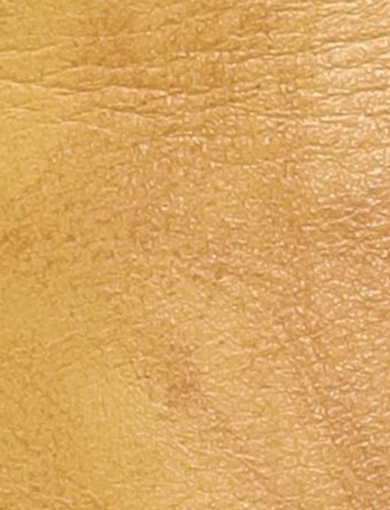 Campus Buckle - Banana - Swatch