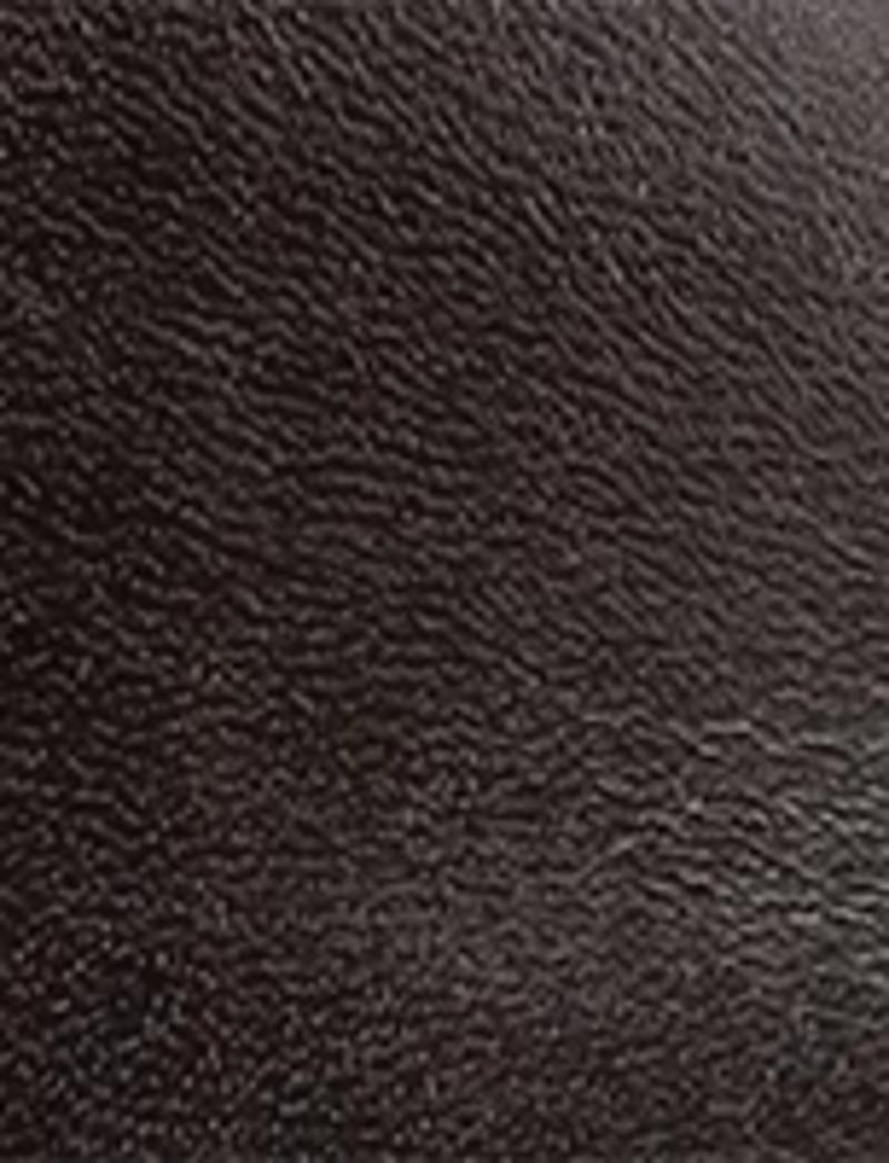 Campus Inside Zip - Bourbon - Swatch