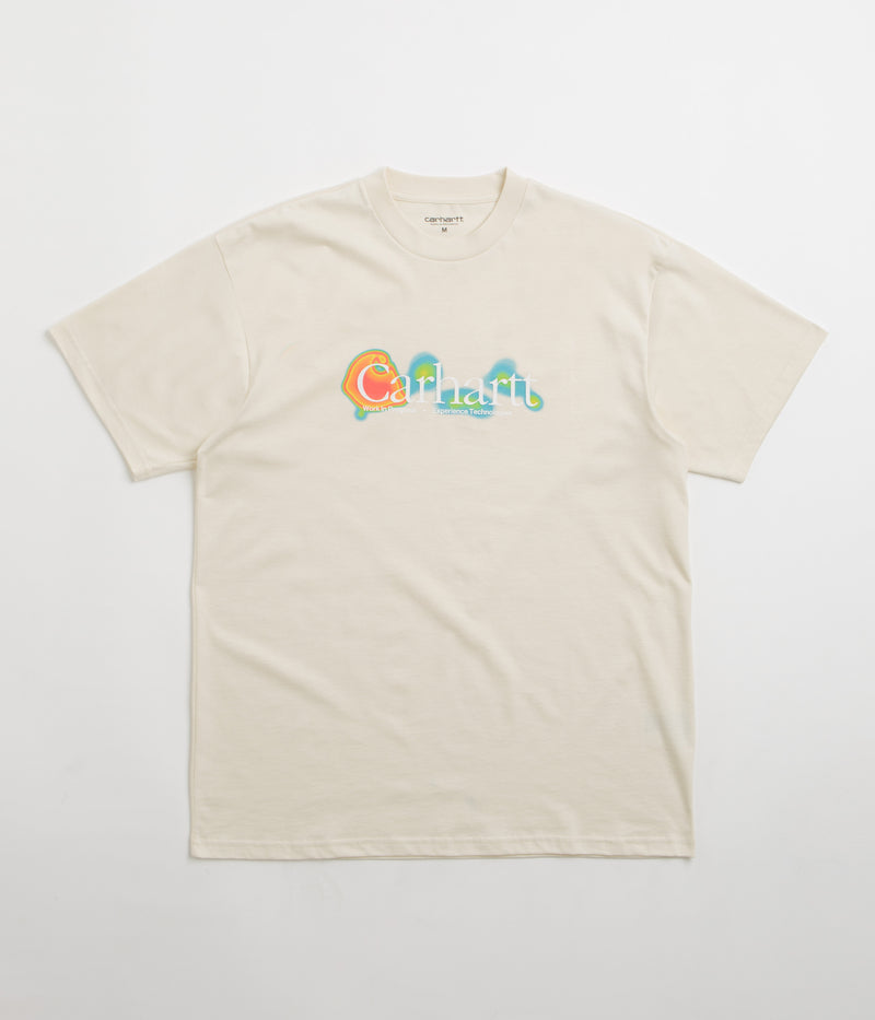 Carhartt Experiential T-Shirt in Salt