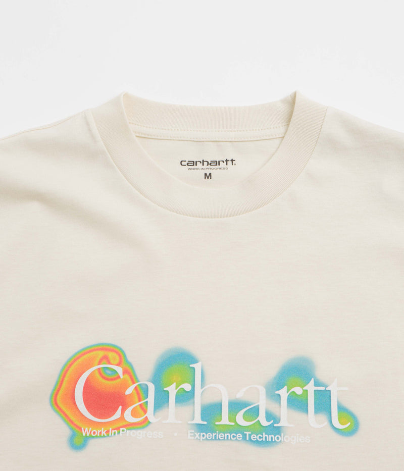 Carhartt Experiential T-Shirt in Salt