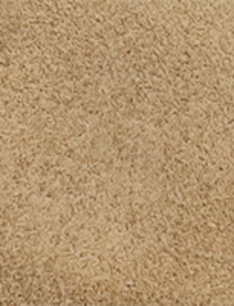 Hudson Campmoc Lug - Desert - Swatch