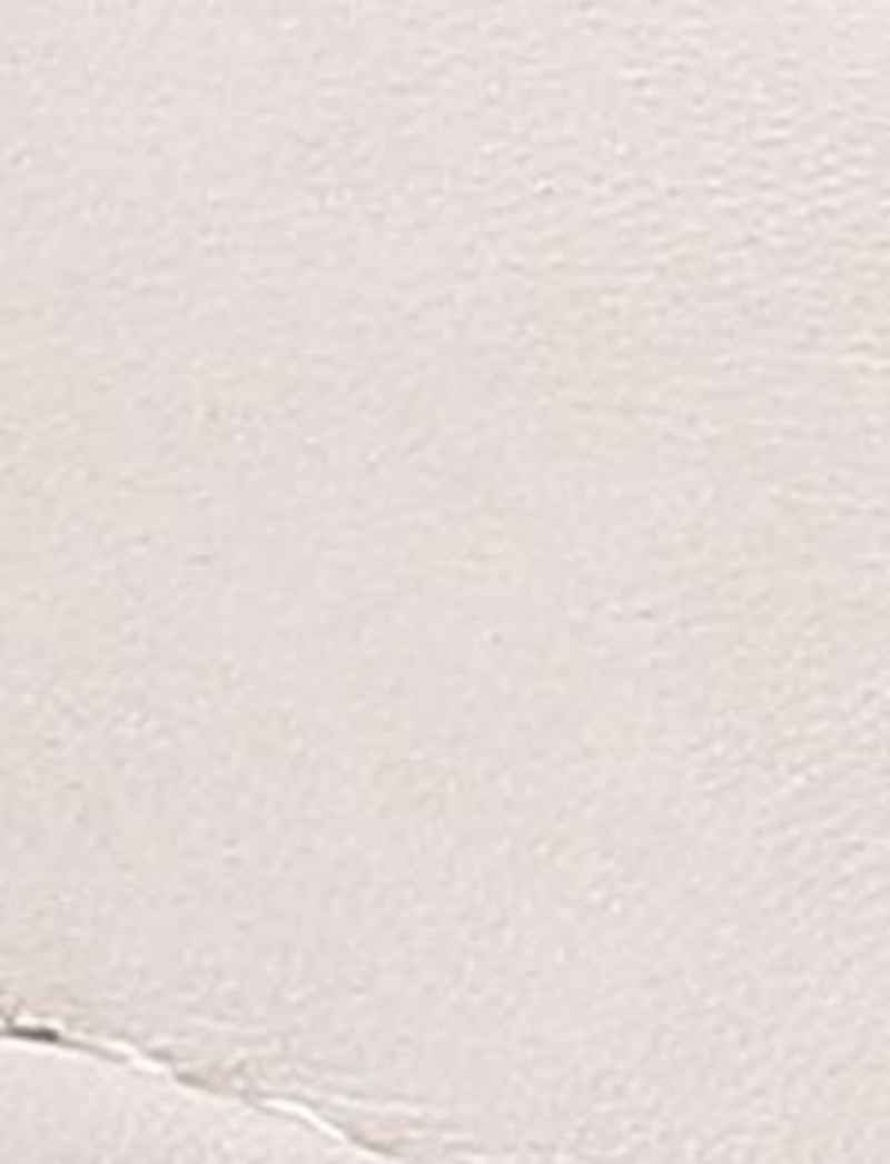 Ivy Venetian - Ivory - Swatch