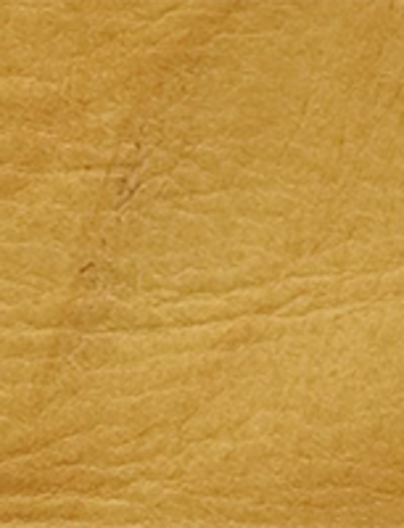 Kate Harness - Banana - Swatch