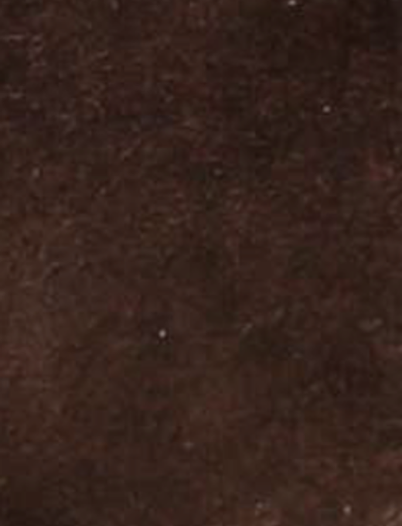 Kate Short Inside Zip - Chocolate - Swatch