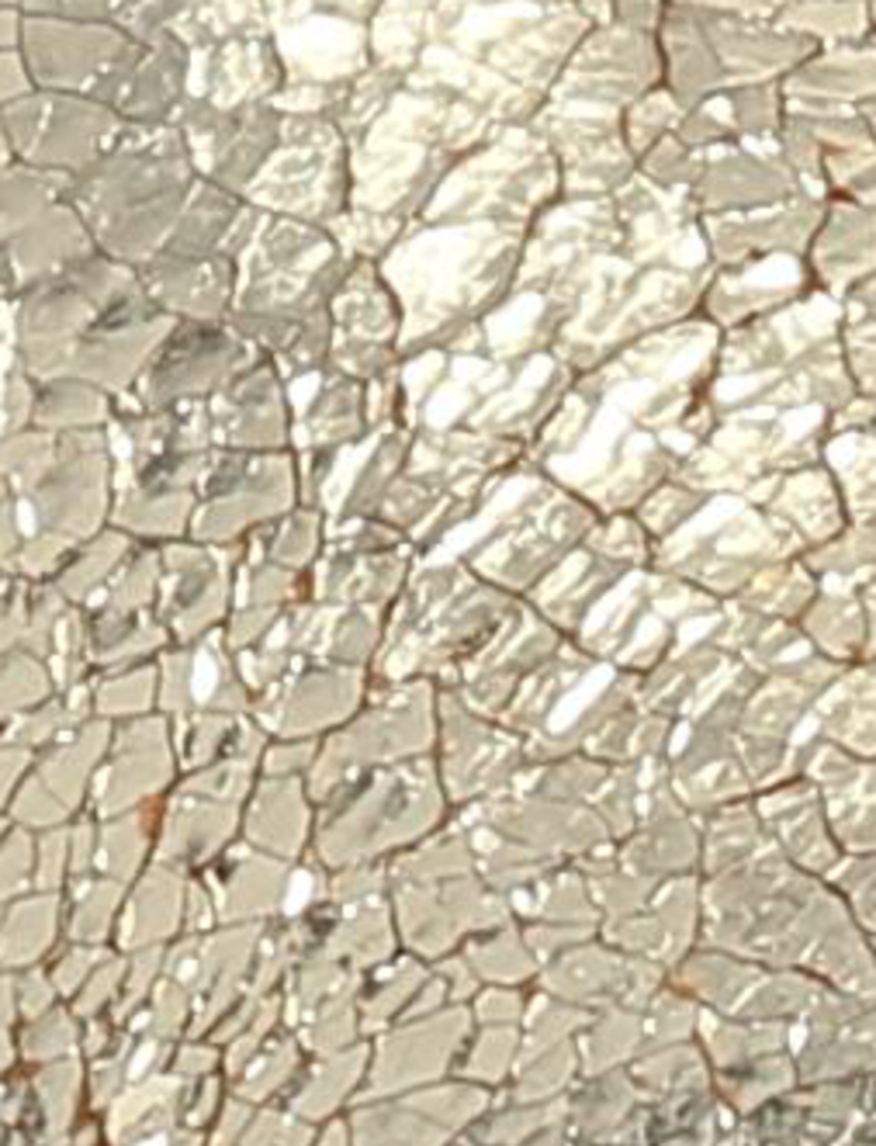 Melanie Slip On - Gold Mirror - Swatch