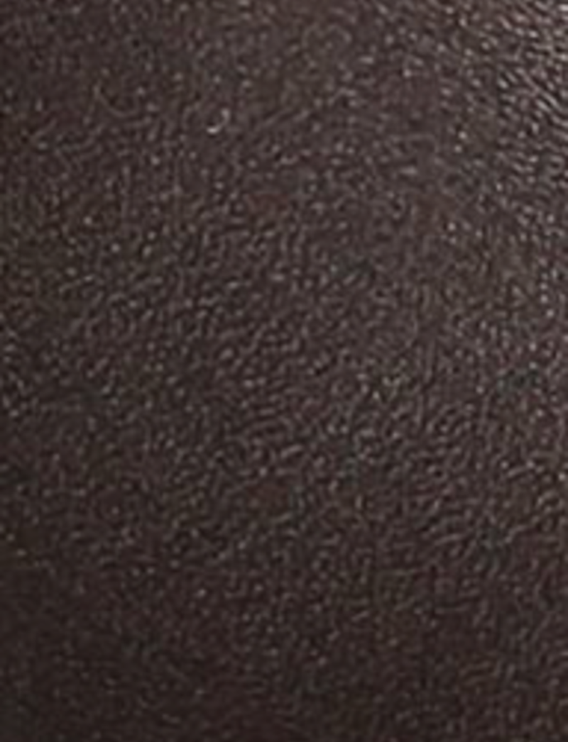 Melissa Shootie 2 - Dark Brown - Swatch