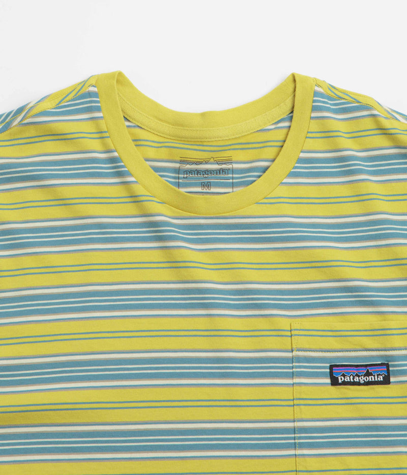 Patagonia Daily Pocket T-Shirt in Summer Camp: Bundle Green