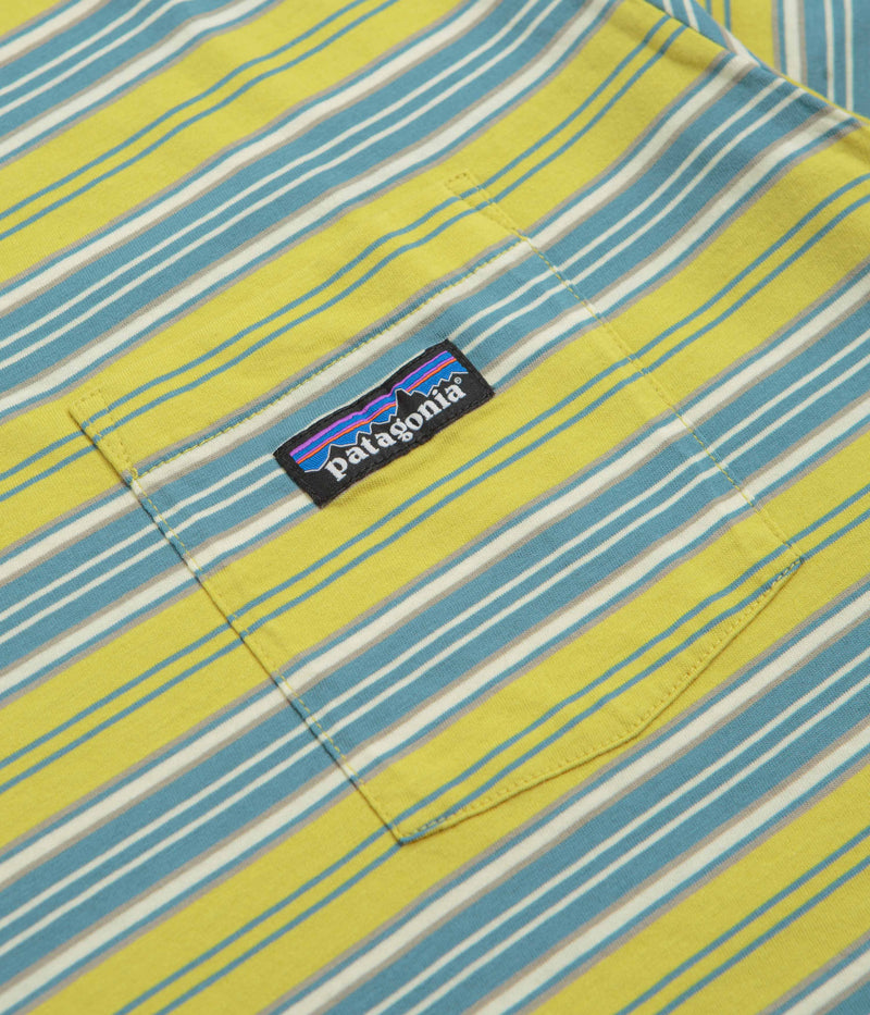 Patagonia Daily Pocket T-Shirt in Summer Camp: Bundle Green