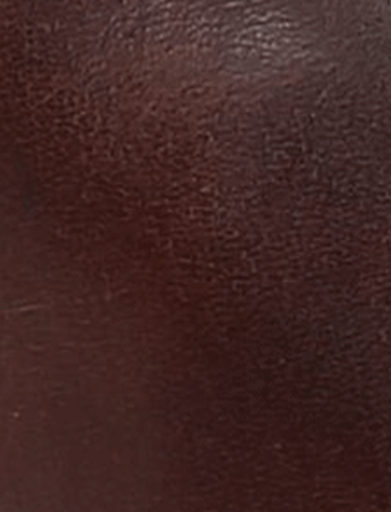 Sabrina Chelsea - Cognac - Swatch