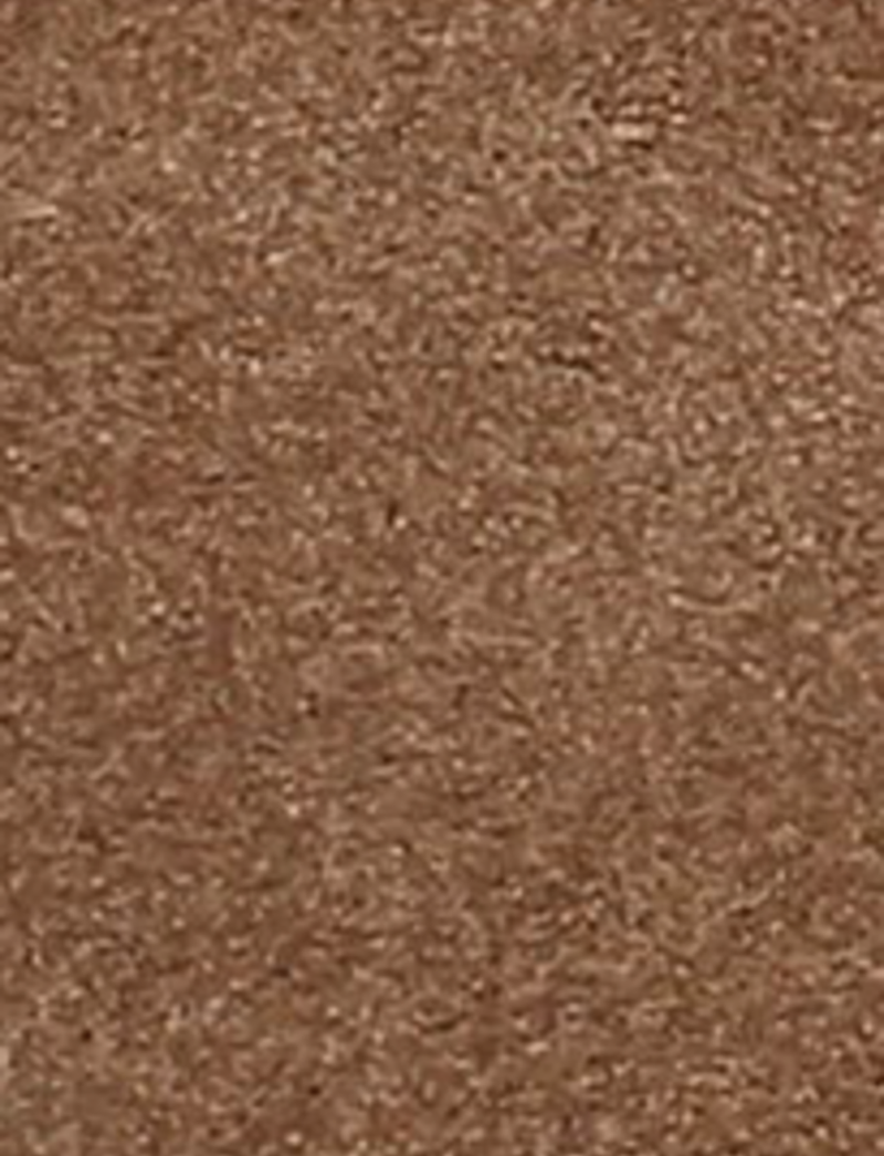 Sara Wingtip Stud - Almond - Swatch