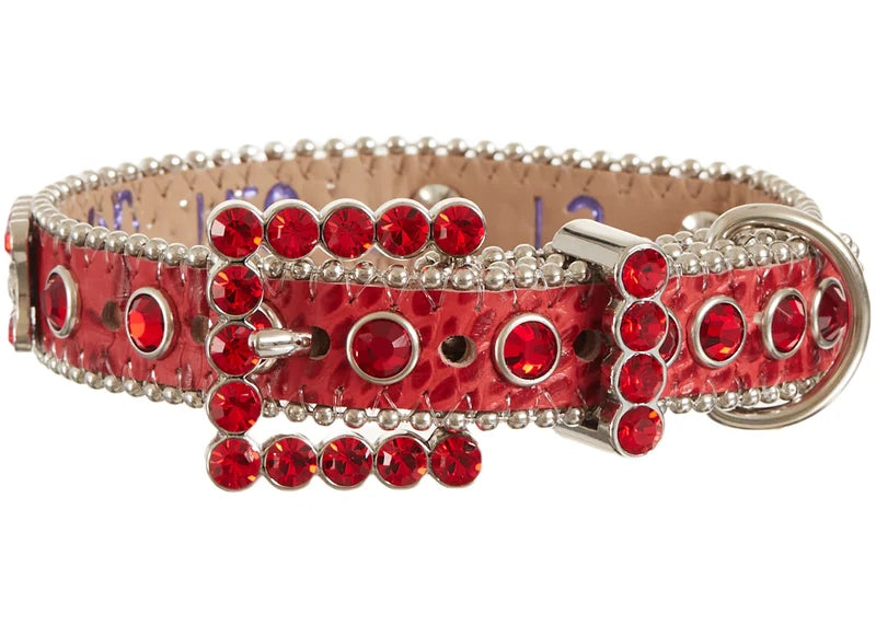 Supreme B.B. Simon Studded Dog Collar Red