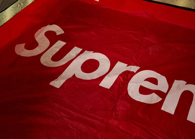 Supreme The North Face Snakeskin Taped Seam Stormbreak 3 Tent Green