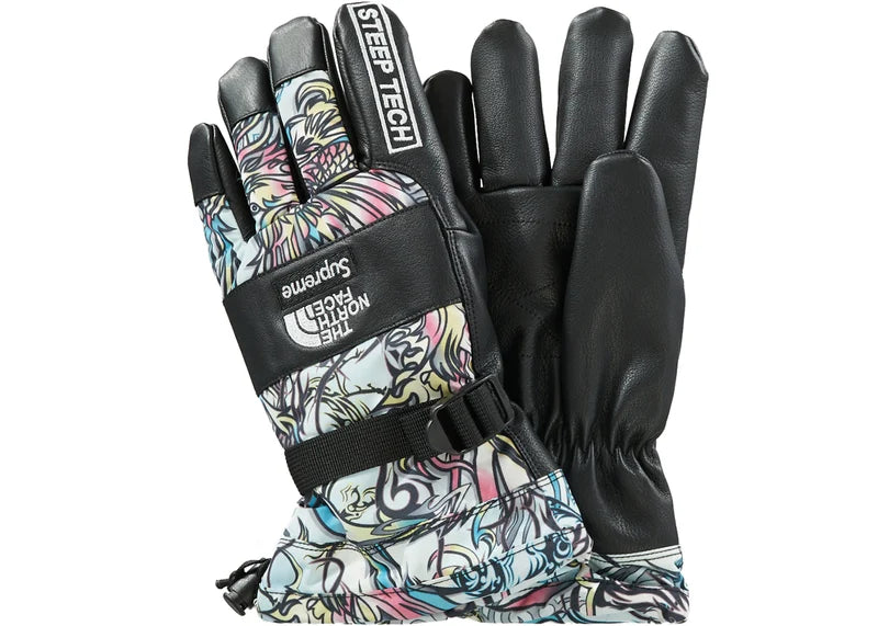 Supreme The North Face Steep Tech Gloves Multicolor Dragon