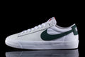 Nike SB Zoom Blazer Low Pro GT White / Pro Green